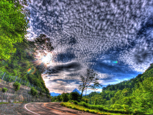 46547 (a): :1600x1200